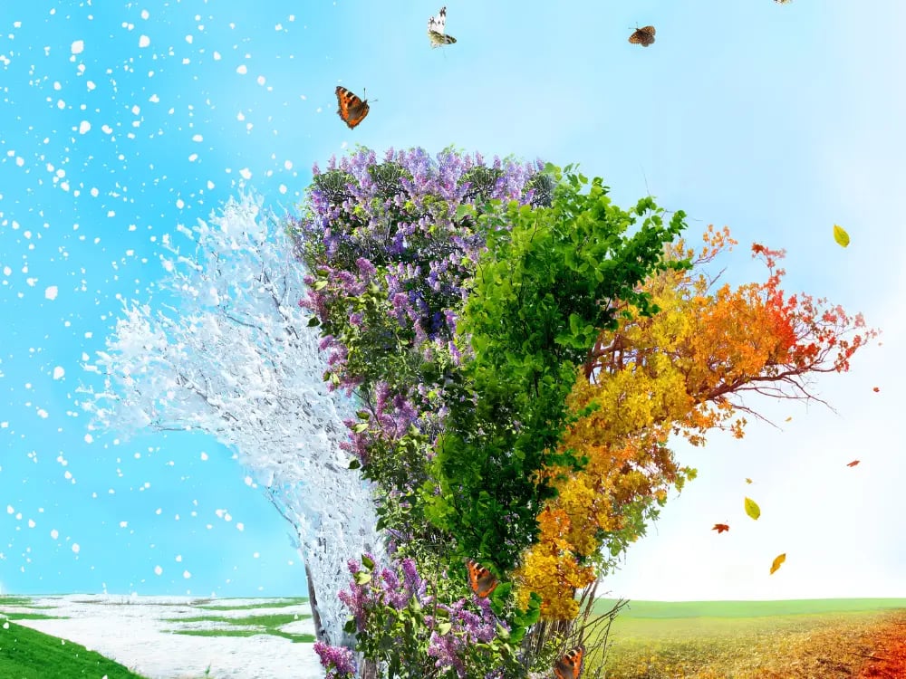 Printed Promotional Products for Every Season
